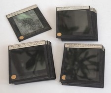 17 photo plates magic lantern, AFRICA MOROCCO Maison Bonne Presse, circa 1910