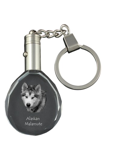 Alaskan malamute - alaskan,