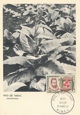 CARTE MAXIMUM 1ER JOUR JEAN