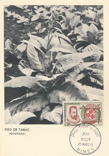 Carte maximum 1er - maximum, jean