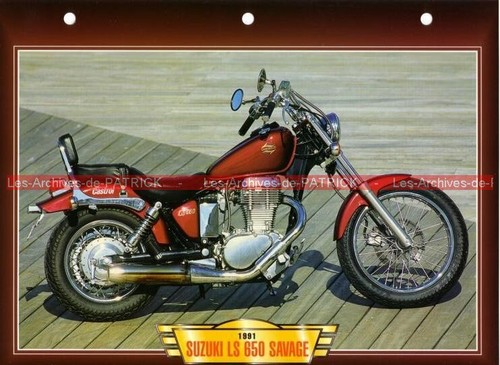 Suzuki 650 savage ls650 - savage,