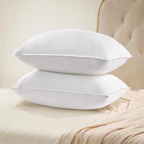Oreiller plumes duvet - en,