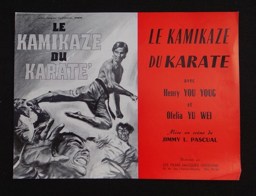 Kamikaze karate photo - kamikaze,