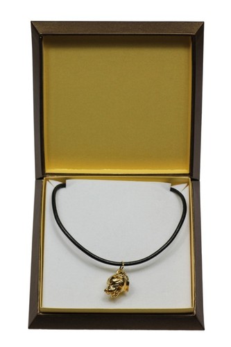 Staffy type collier doré - staffy,