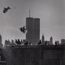 NEW YORK CITY Pigeons & Twin Towers Skyline 1980 WTC Gelatin Silver Photograph