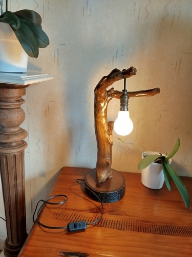 Lampe bois flotté - en,