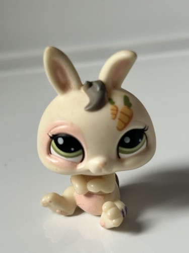 Petshop lapin nain 1855 - petshop,