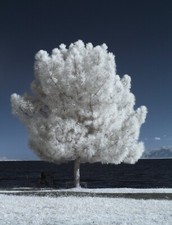 Full Spectrum UV IR Converted Camera Canon 1100D X50 T3 Ghost Paranormal Astro