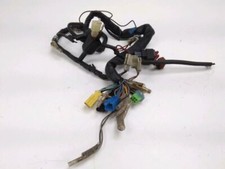 FAISCEAU ELECTRIQUE SUZUKI TS