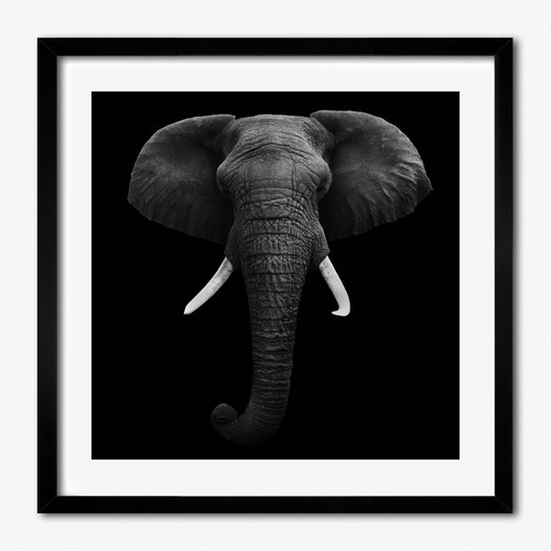Tulup photo 50x50cm décor - photo, mdf