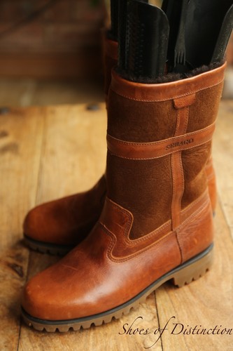 Chaussures bottes boucles - bottes,
