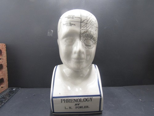 Fowler phrenology head - l.n,