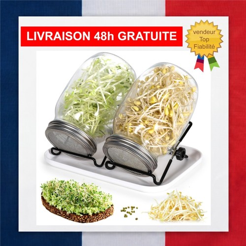 Cinnani kit germination - cinnani,