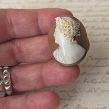 CAMEE Coquillage Ancien