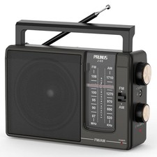 Poste Radio FM/AM PRUNUS J-03