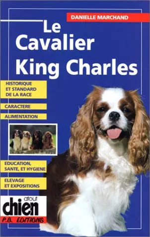 Cavalier king charles d - king,