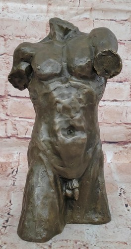 Nude male muscular torso - male,