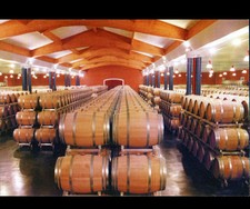 GAILLAN-en-MEDOC (33) WINE CELLAR / UNI MEDOC