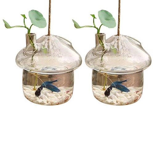 Forme de champignon - forme,