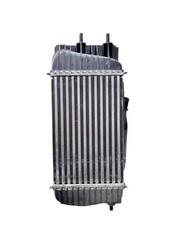 Nissan Juke I F15 2013 Essence