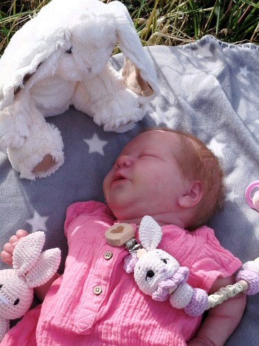 Poupée reborn bébé