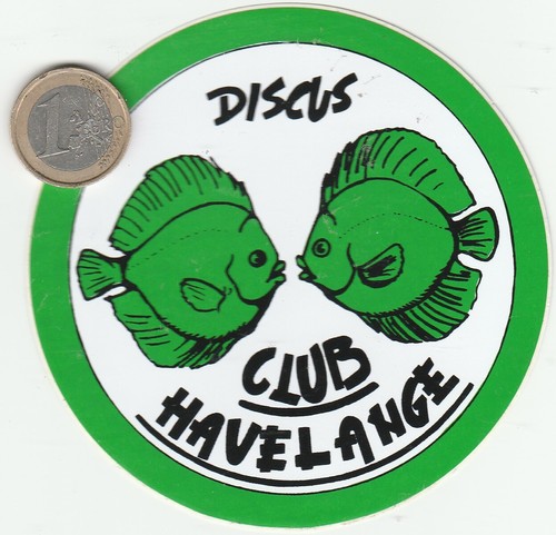 Autocollant discothèque - autocollant, .