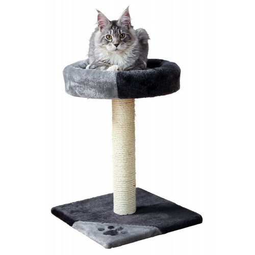 Arbre chat taille - 35, 35