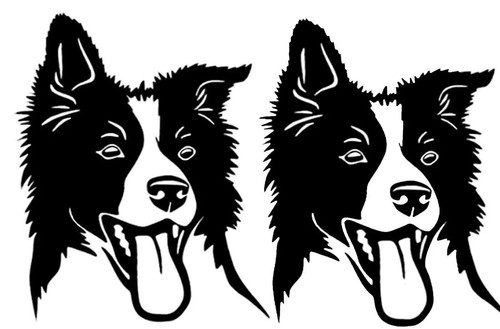 Border collie dog black vinyl - border,