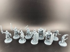 Hero Quest Knights, Rogues
