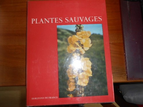 Plantes sauvages par - sauvages,