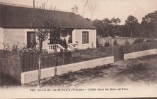 85 SAINT JEAN DE MONTS CHALET IN THE PINE WOODS