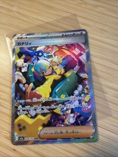 Trainer Canary SAR Japanese