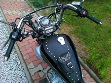Yamaha Virago XV 125 Leather