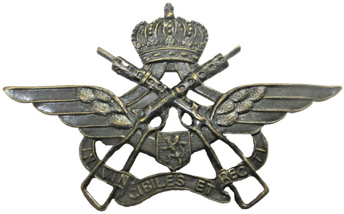 Insigne belge métal - ,