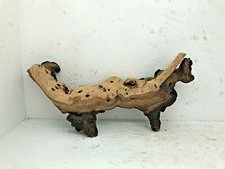 racine mopani araignée spider root mangrove rb 3 xl bois 38x20 aquarium