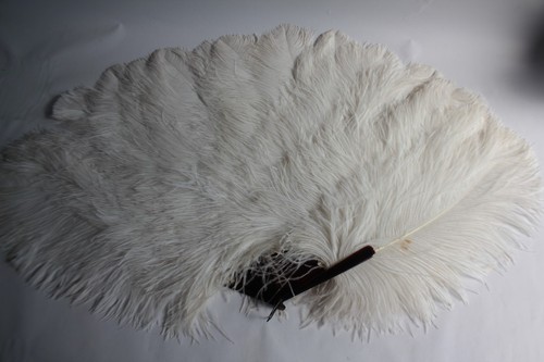 Ancien grand éventail plumes - ancien,