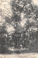 89 CHATEAU GRANGE ARTHUIS