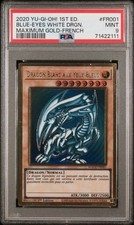 Dragon Blanc aux yeux bleus