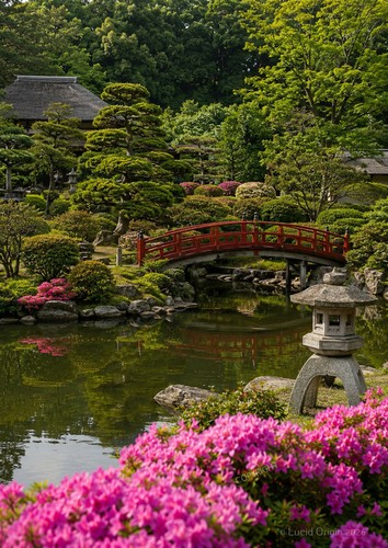 Photo jardin japonais - photo,