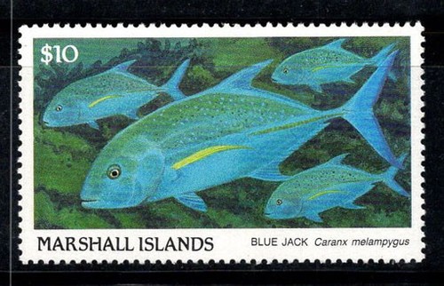 îles marshall 1989 208 - Îles, mi.