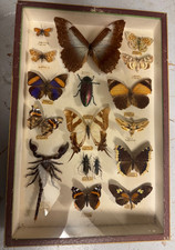 Boîte Cadre Vitrée -