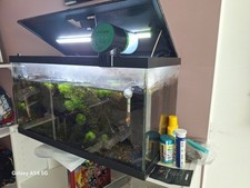 🐠 Aquarium 60L complet avec poissons, crevettes et accessoires – à saisir ! 🐟