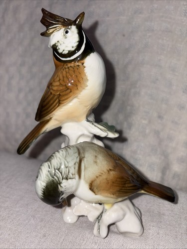 Karl ens pair birds - of,