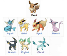 Pack 7 evolutions evoli SHINY