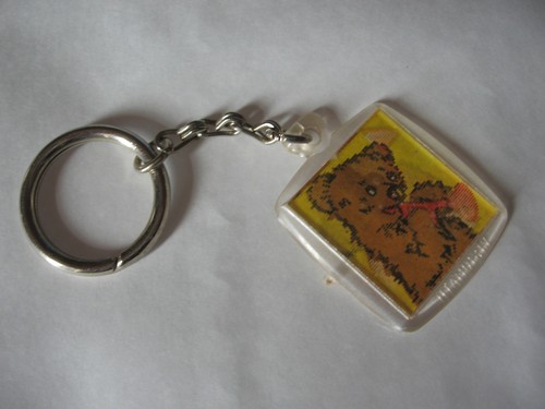 Porte clefs visiomatic - porte,