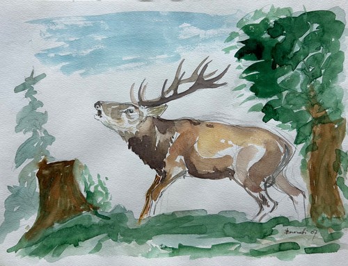 Aquarelle 2007 brunetti - 2007,