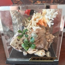 Ornement de récif corallien décor aquarium pièce d'aquarium marine neuve