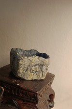 pot caudex bonsaï succulente