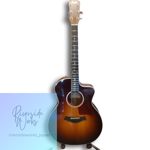 Guitare électrique acoustique