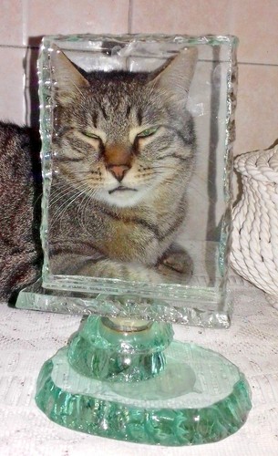 Extraordinary picture frame - extraordinary,